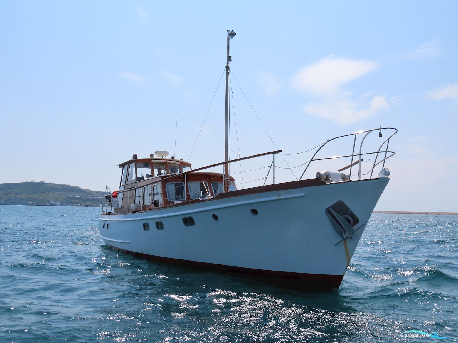 Fleur de Lys 50