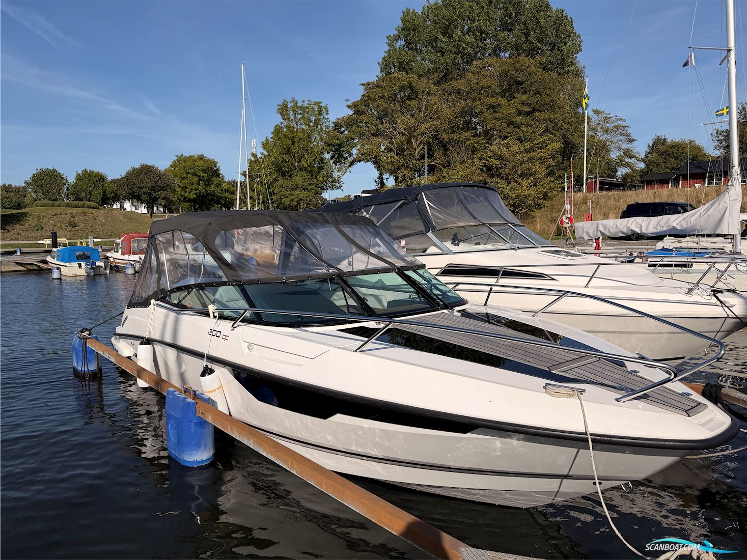 Flipper 800 DC, 2024 - Yamaha 300 hk 