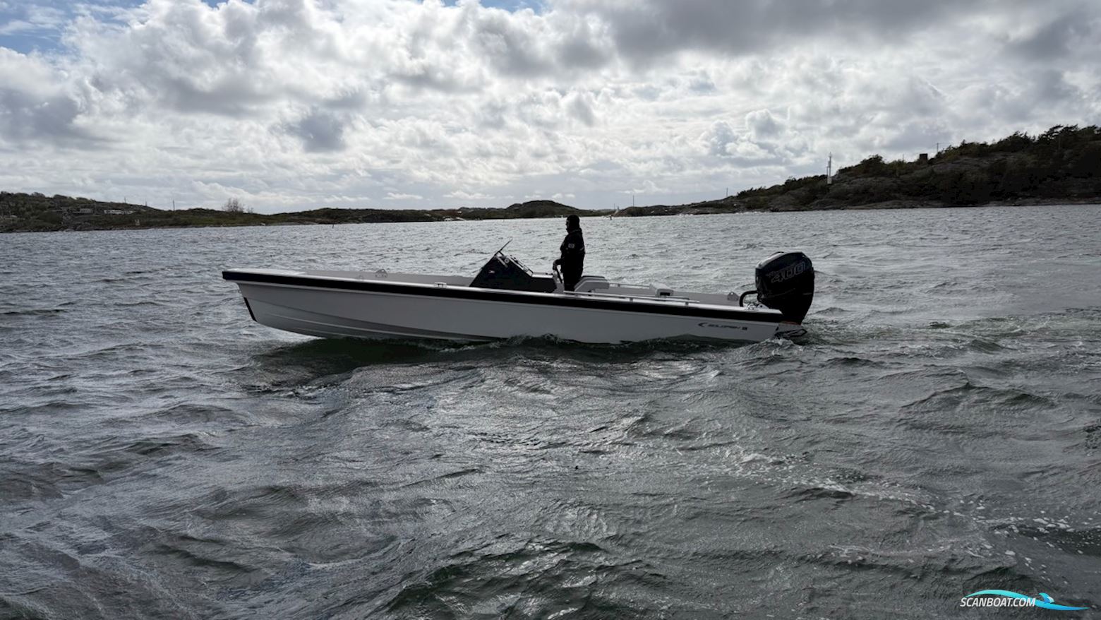 Goldfish 28 Tender