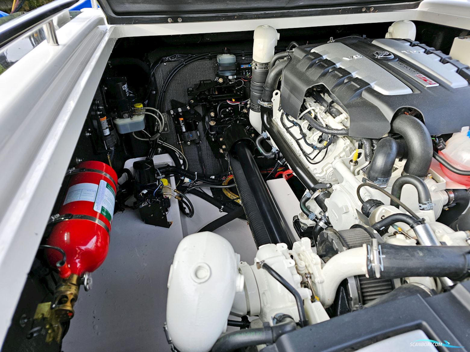 Goldfish 38 Supersport