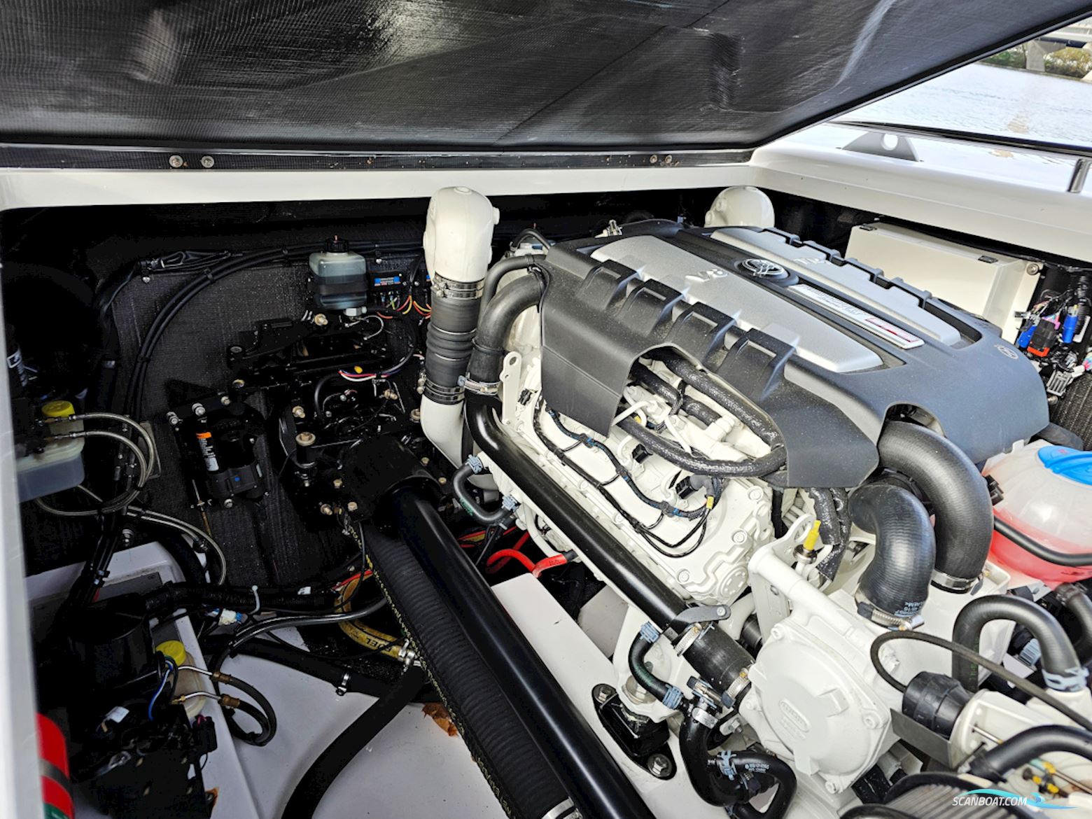 Goldfish 38 Supersport