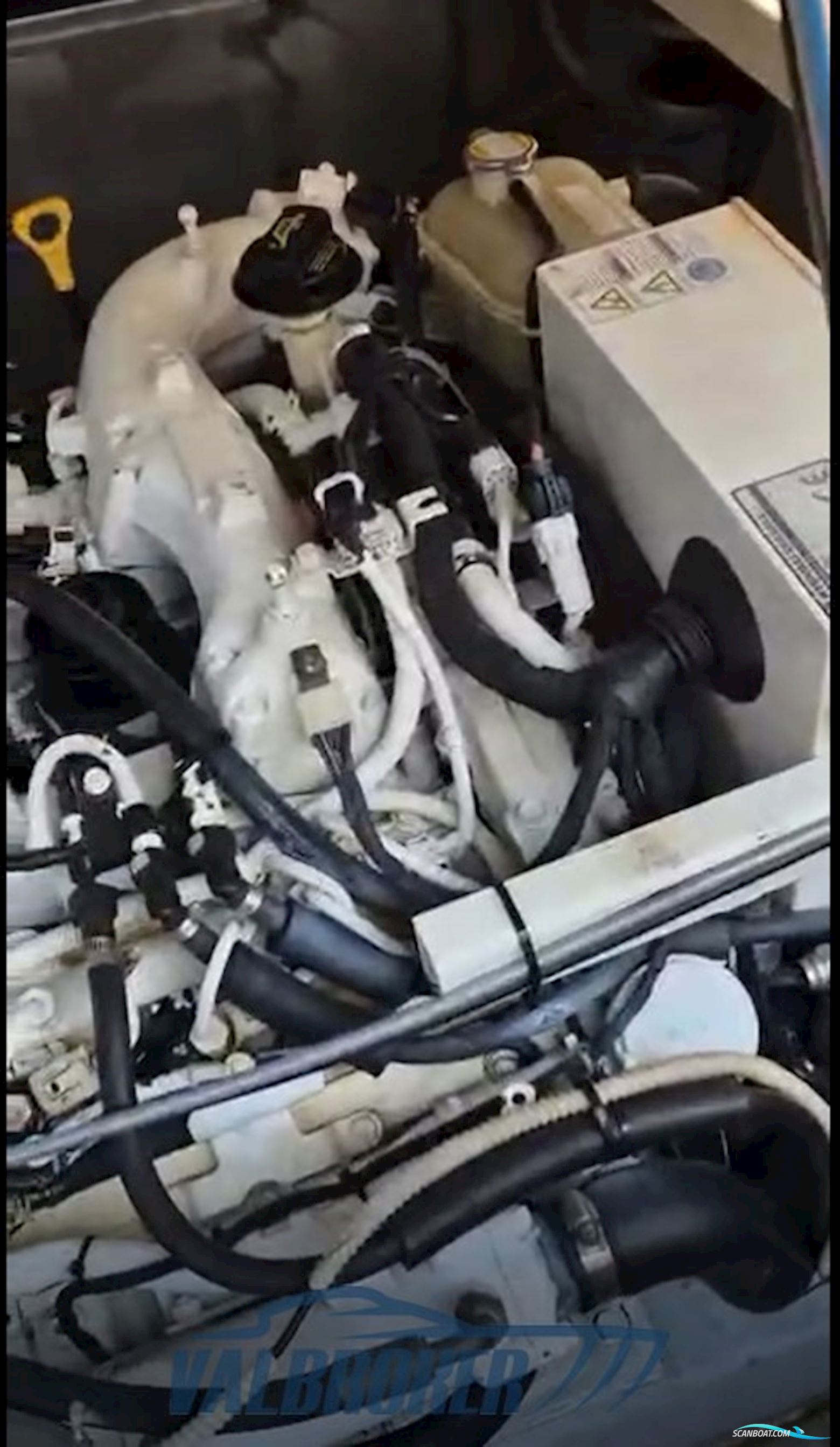 Gozzo Salernitano Venere 28