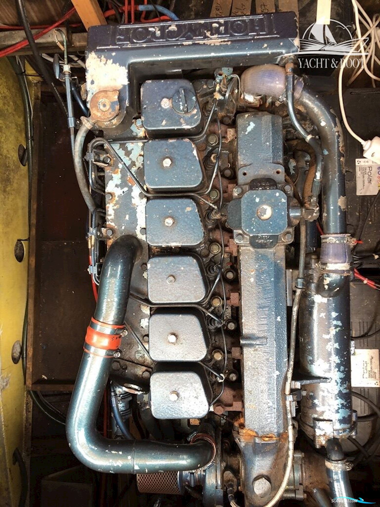 Hansen & Arnutzen Norway Hansen & Arnutzen Norway Mahogany Cruiser