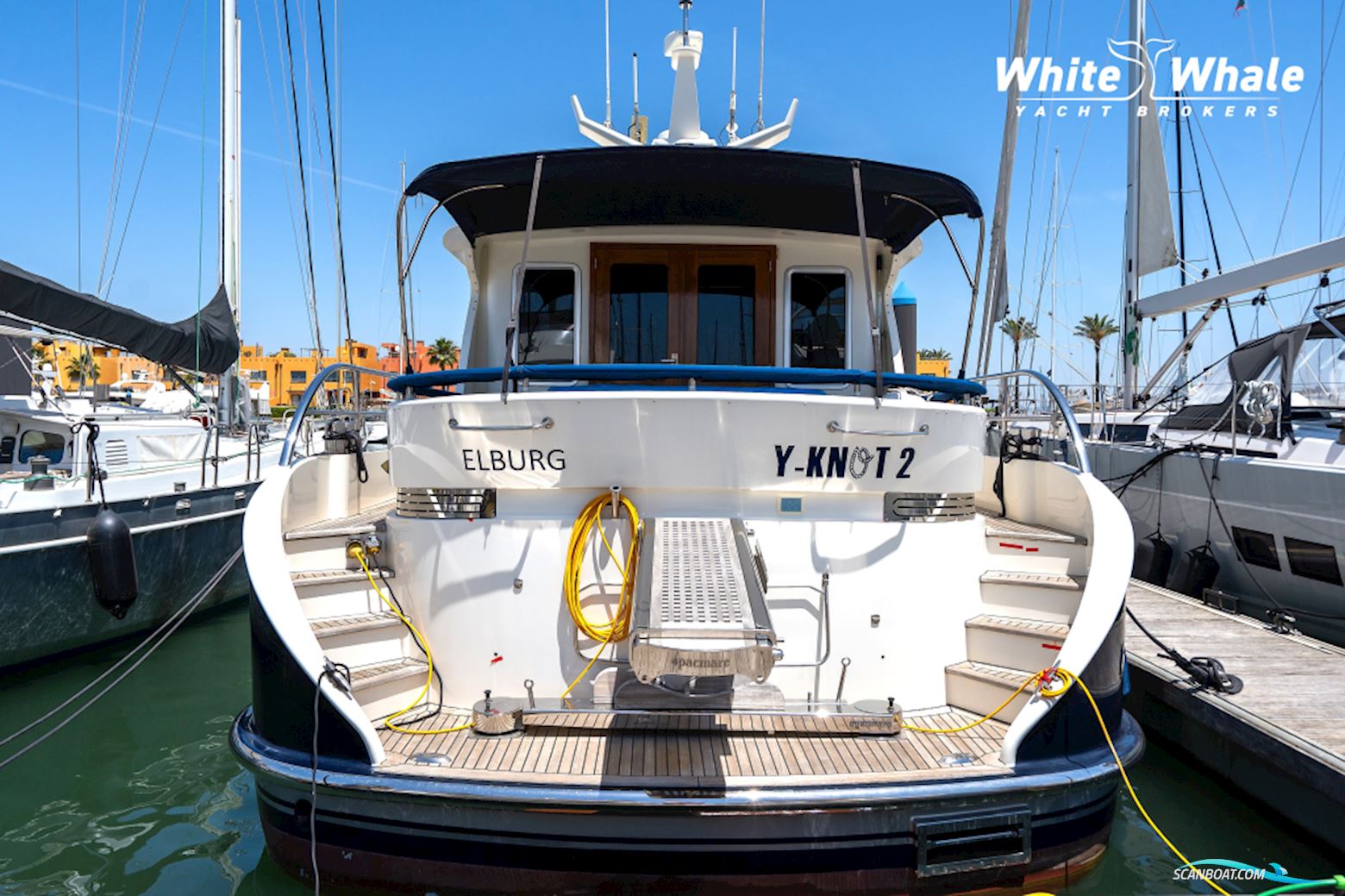 Holterman  53