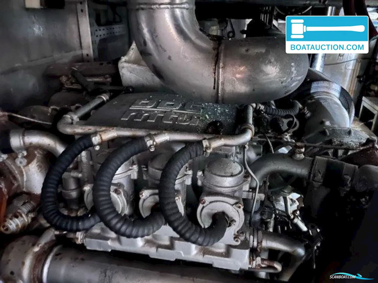 Horizon Elegance 92 Dynasty