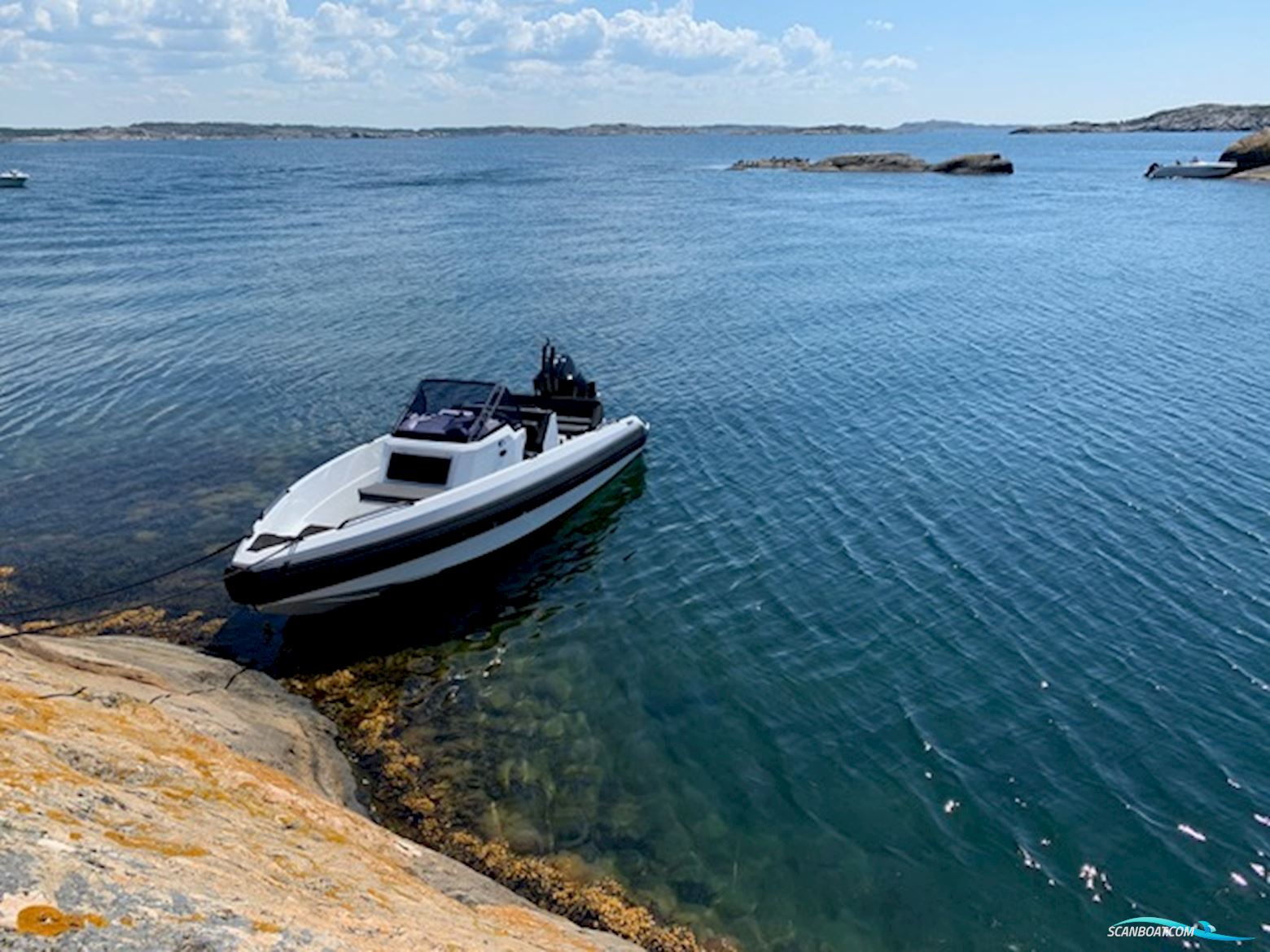 IRON 647 Mercury 175 V6