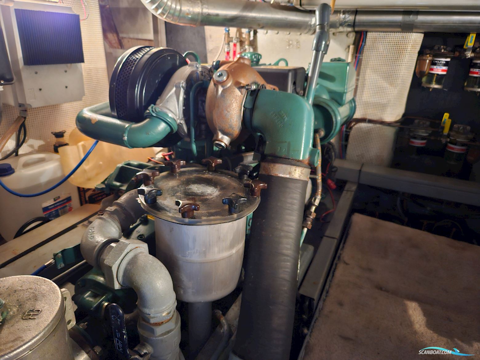 Kempala Kotter 13.50