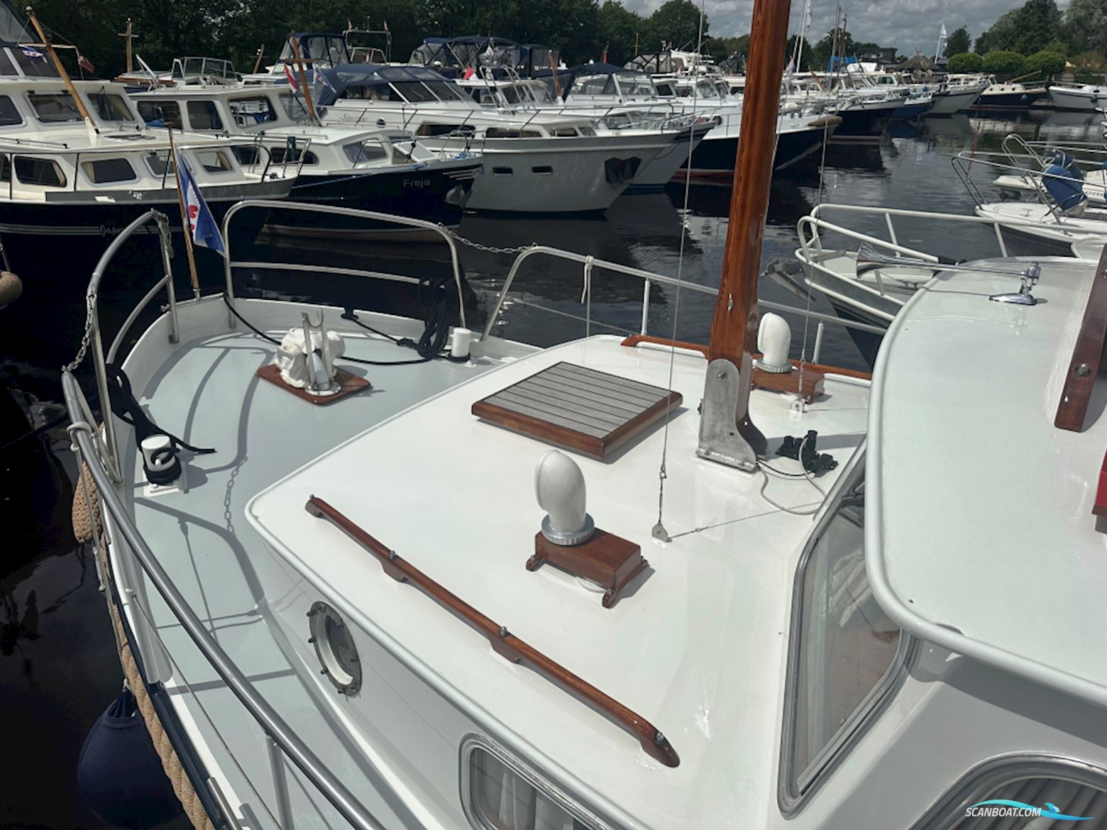 Klaverviervlet 950 OKAK