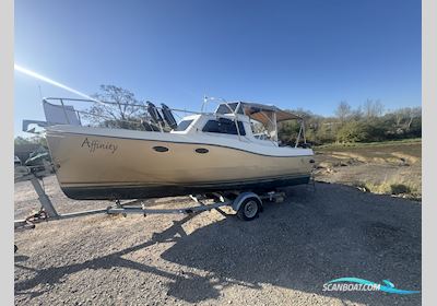 Landau 20 Launch Motorboot 2001, mit Suzuki motor, England