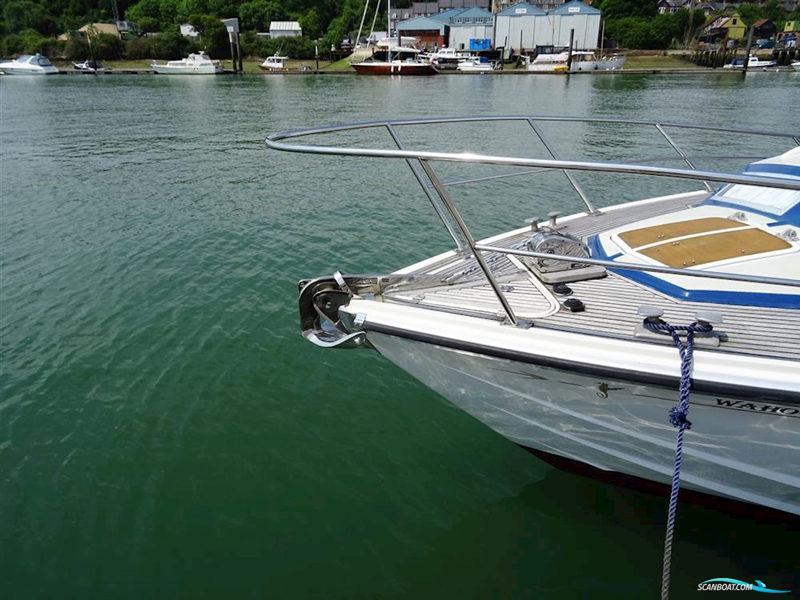 Levi Triana Tantarella 35