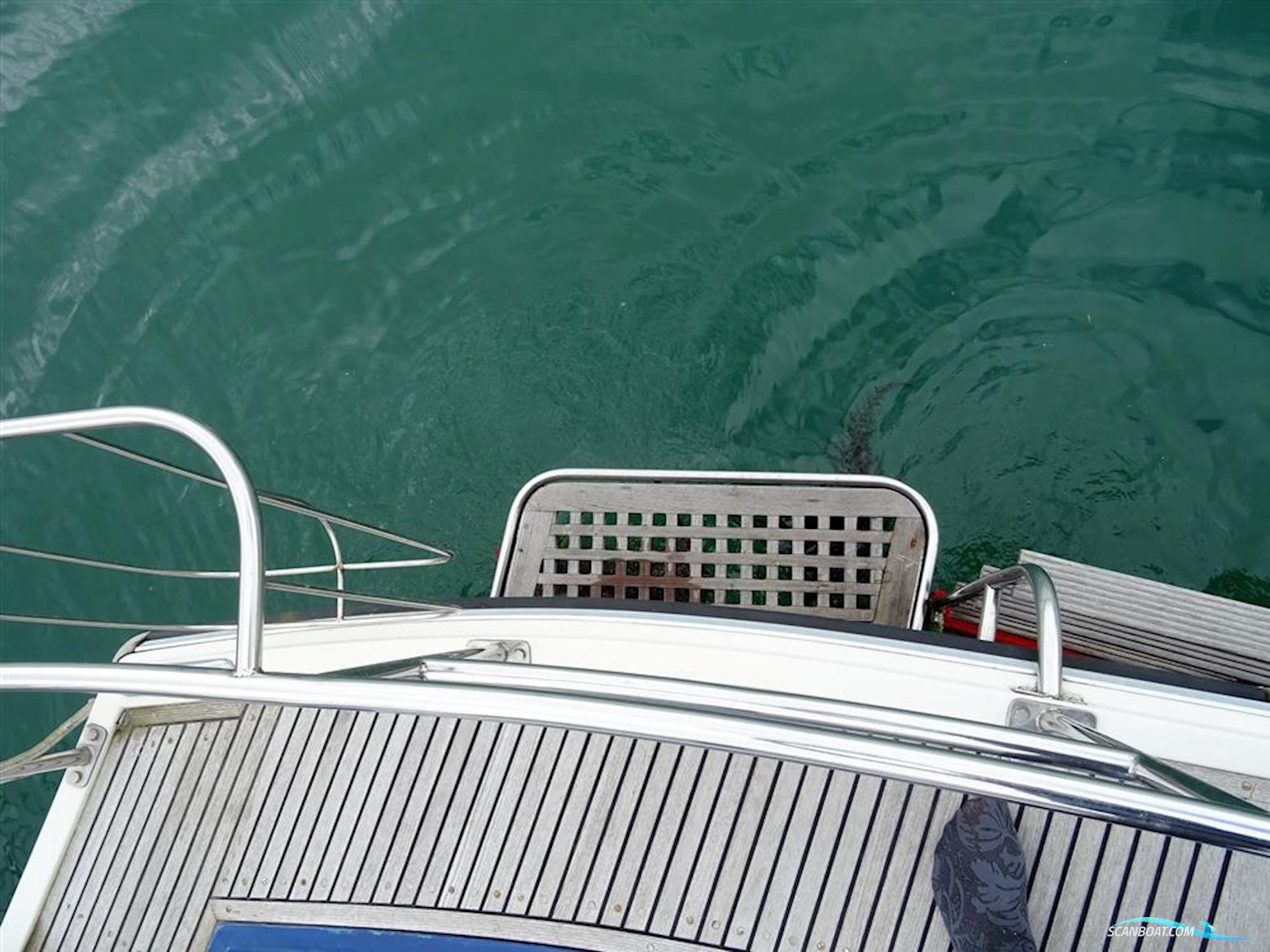 Levi Triana Tantarella 35