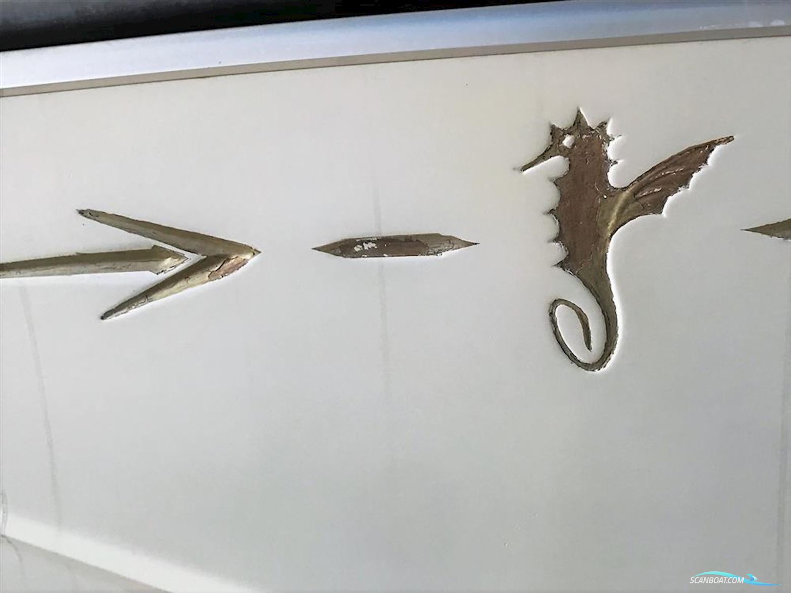 Levi Triana Tantarella 35