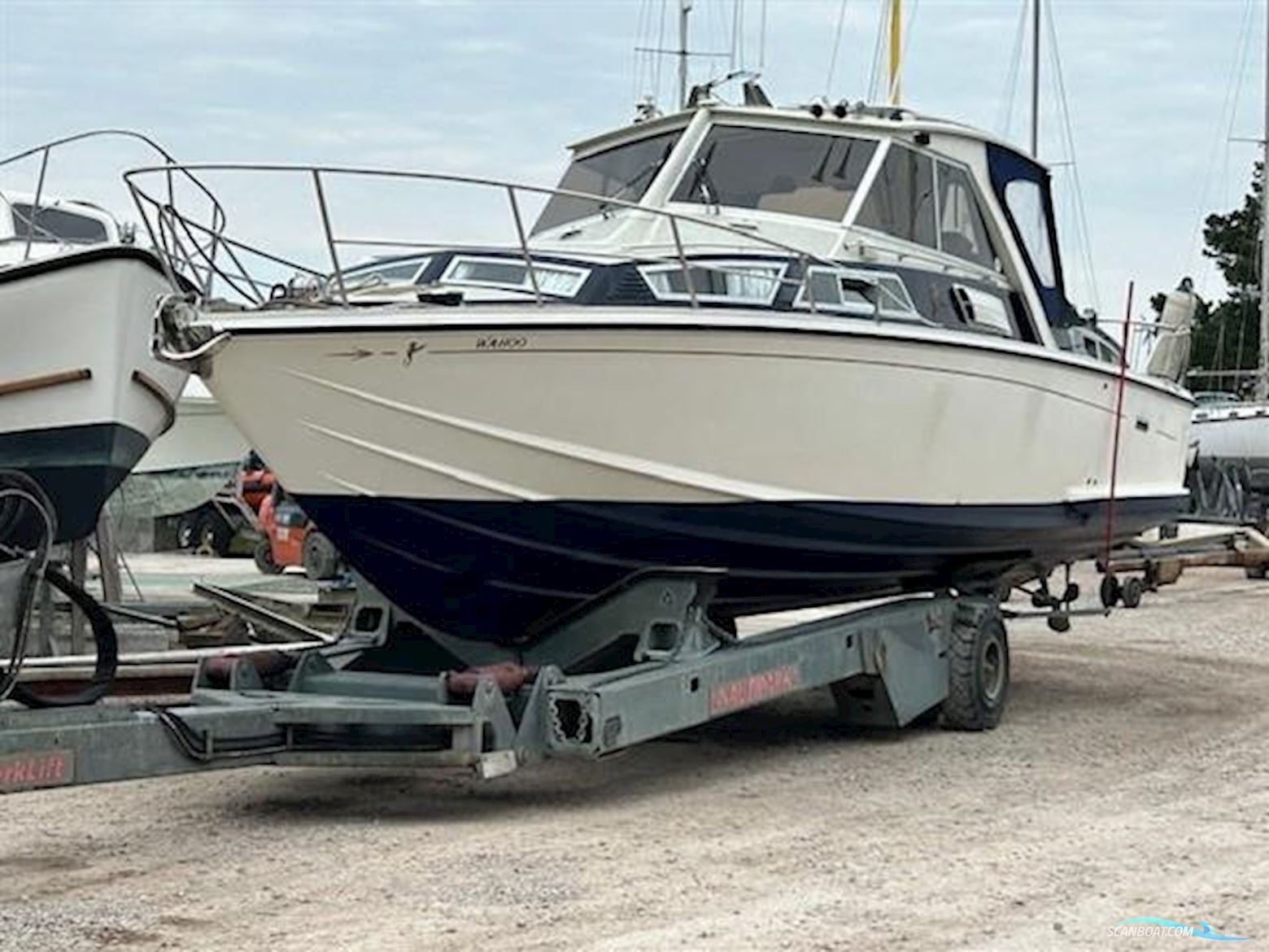 Levi Triana Tantarella 35