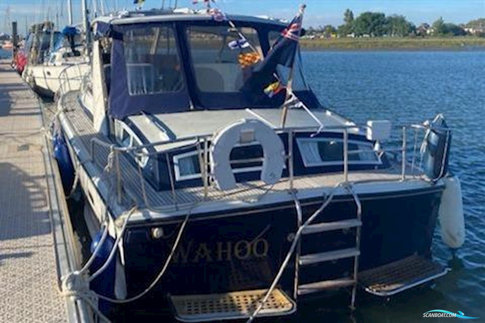 Levi Triana Tantarella 35