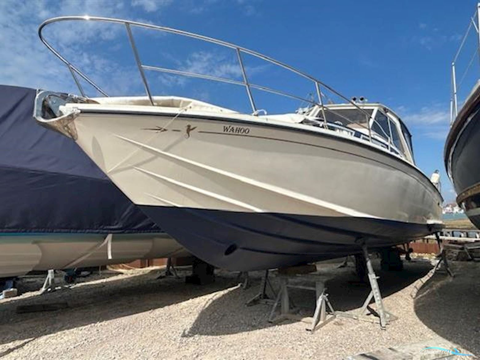 Levi Triana Tantarella 35