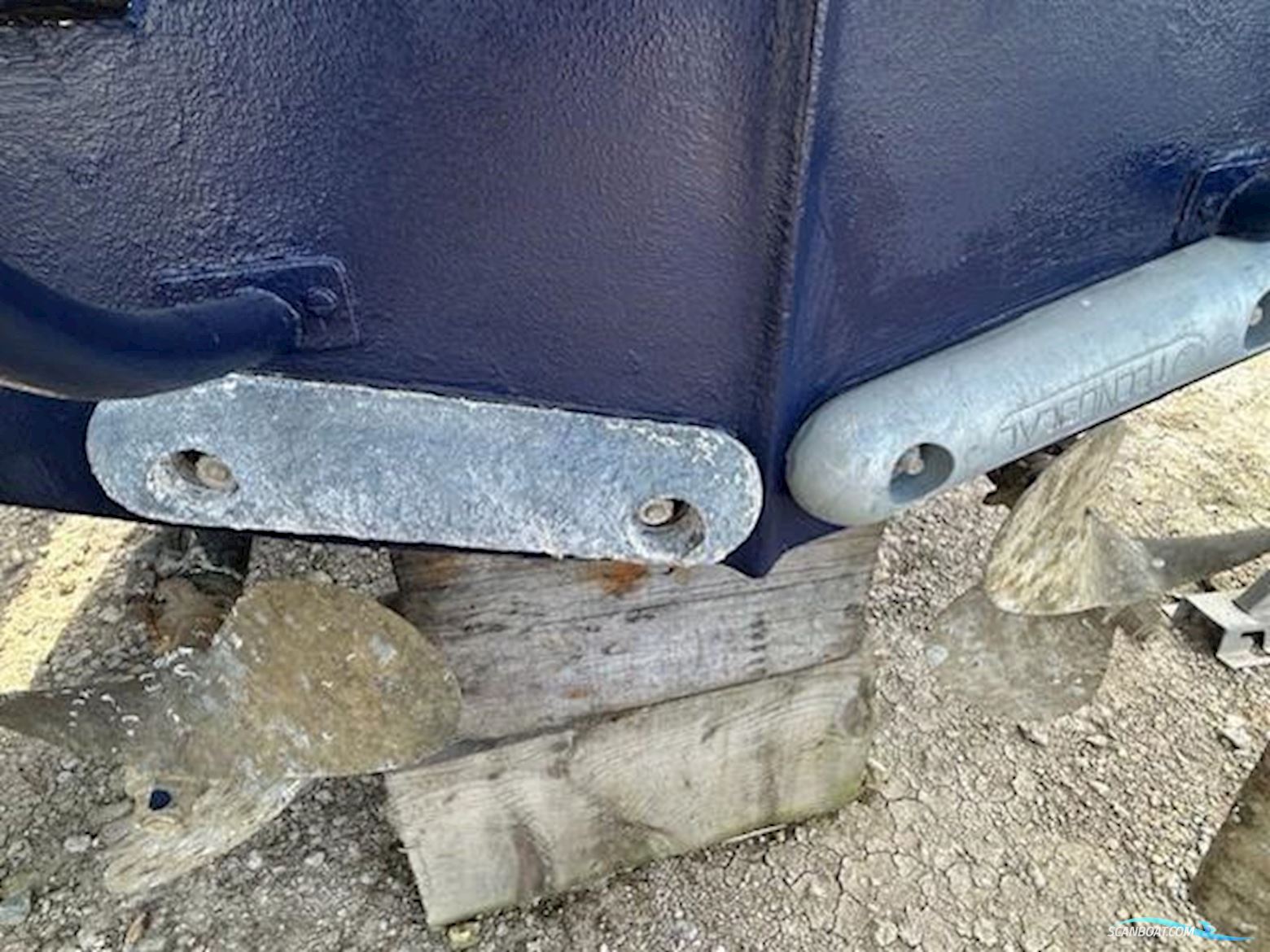 Levi Triana Tantarella 35