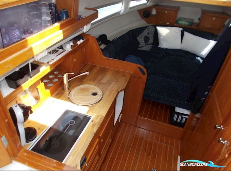 Marex 290 HT Suncruiser