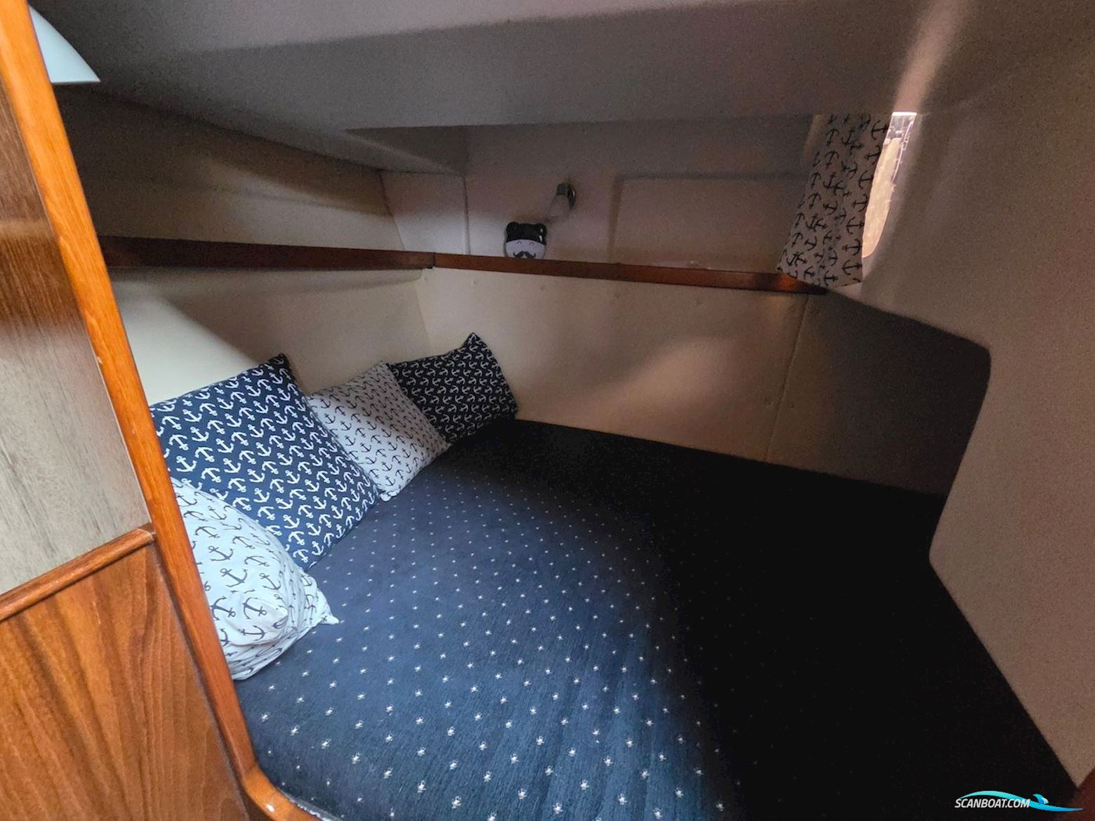 Marex 290 Sun Cruiser HT