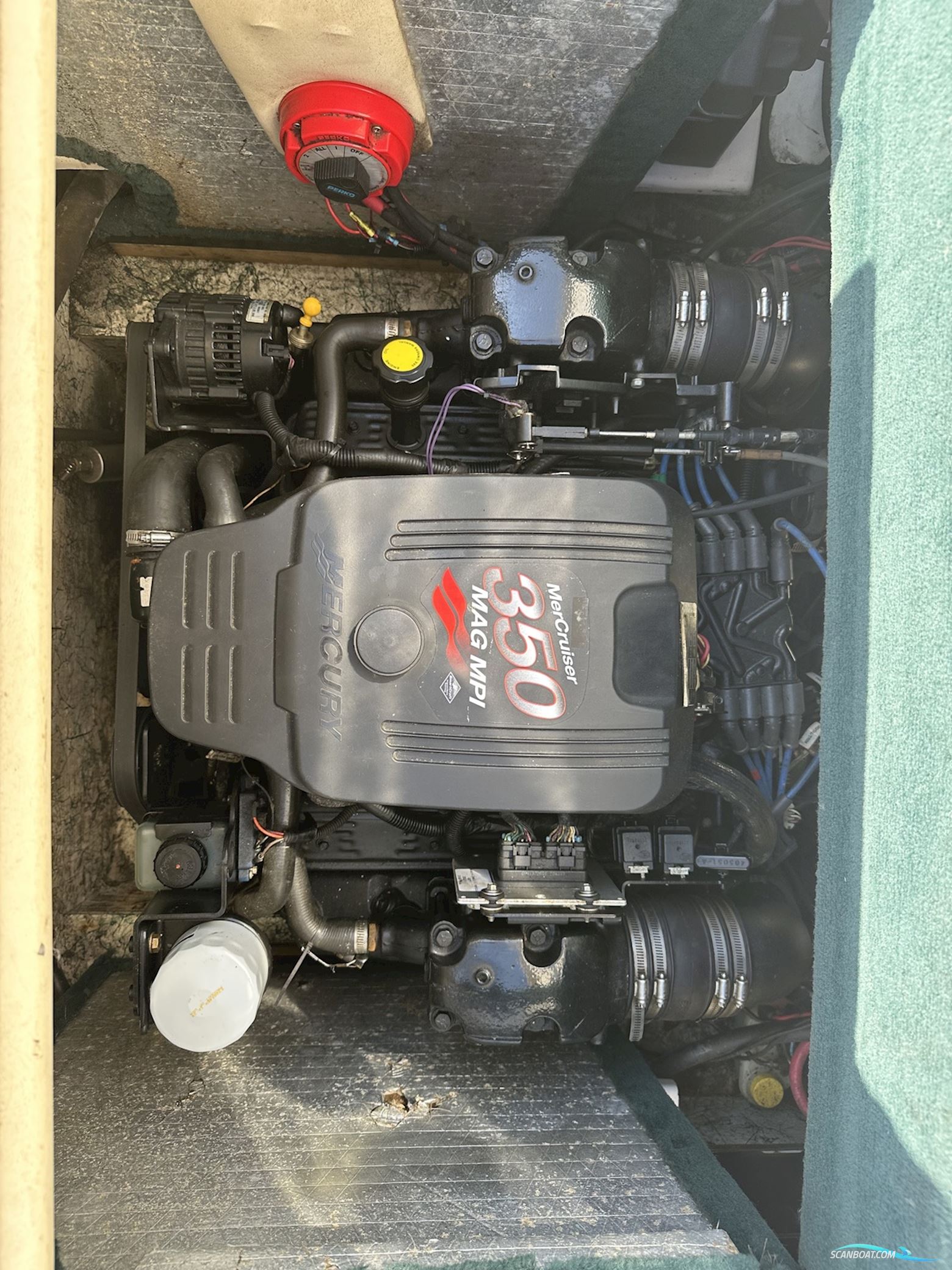 Mariah Z255