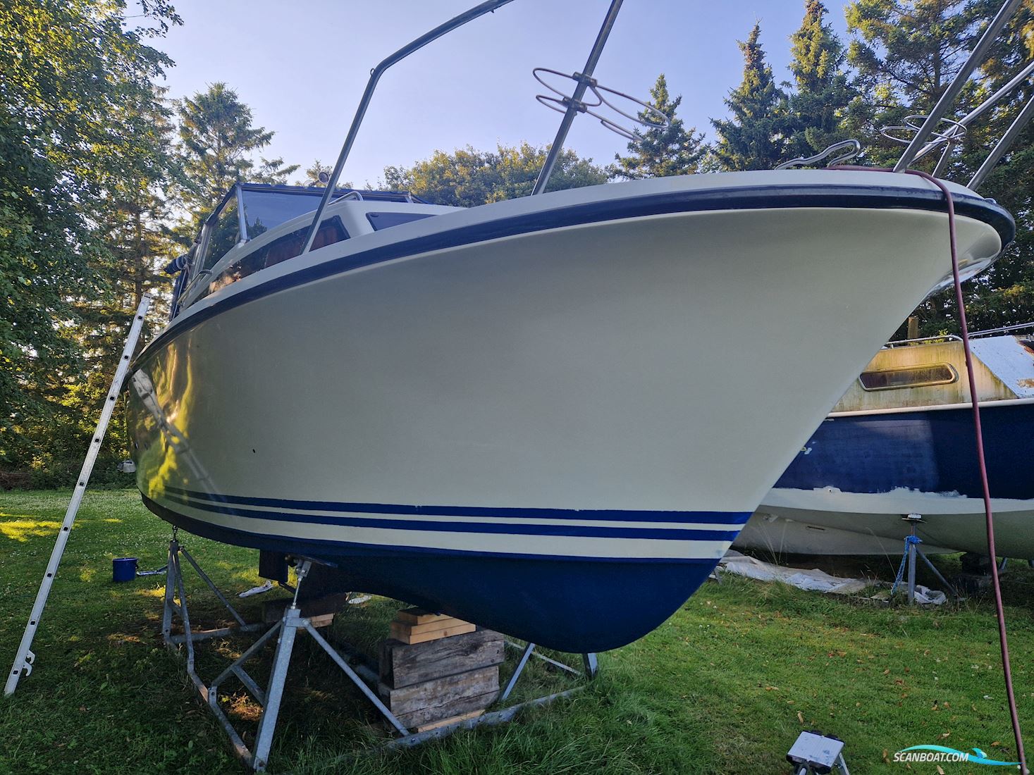 Maxi Maxim 26