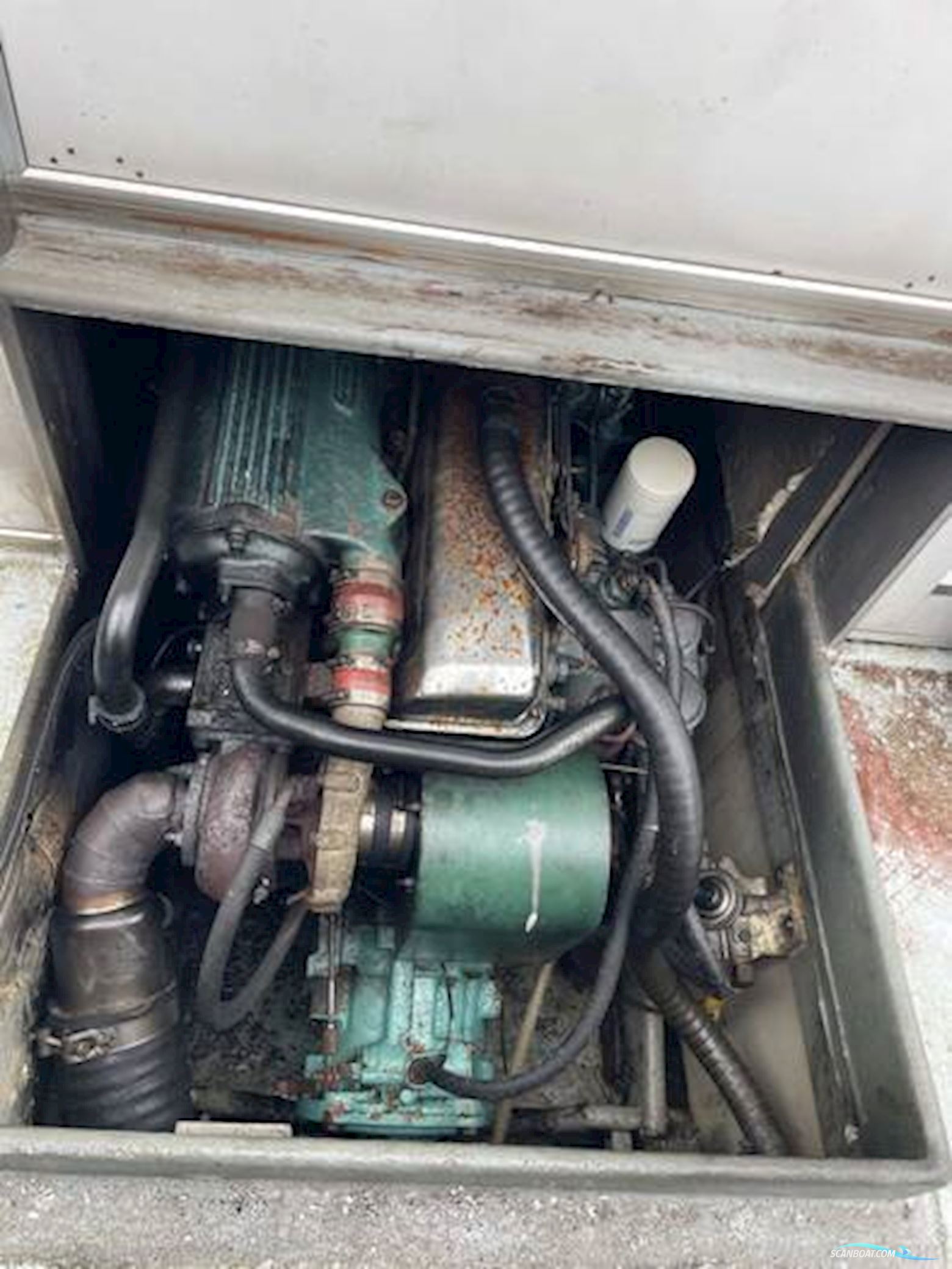 Mitchell 31 MK1