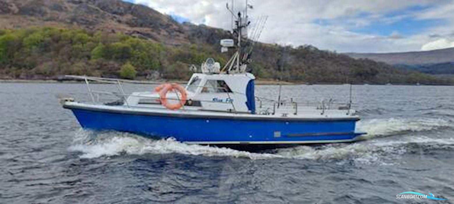 Mitchell Marine 31 MKII