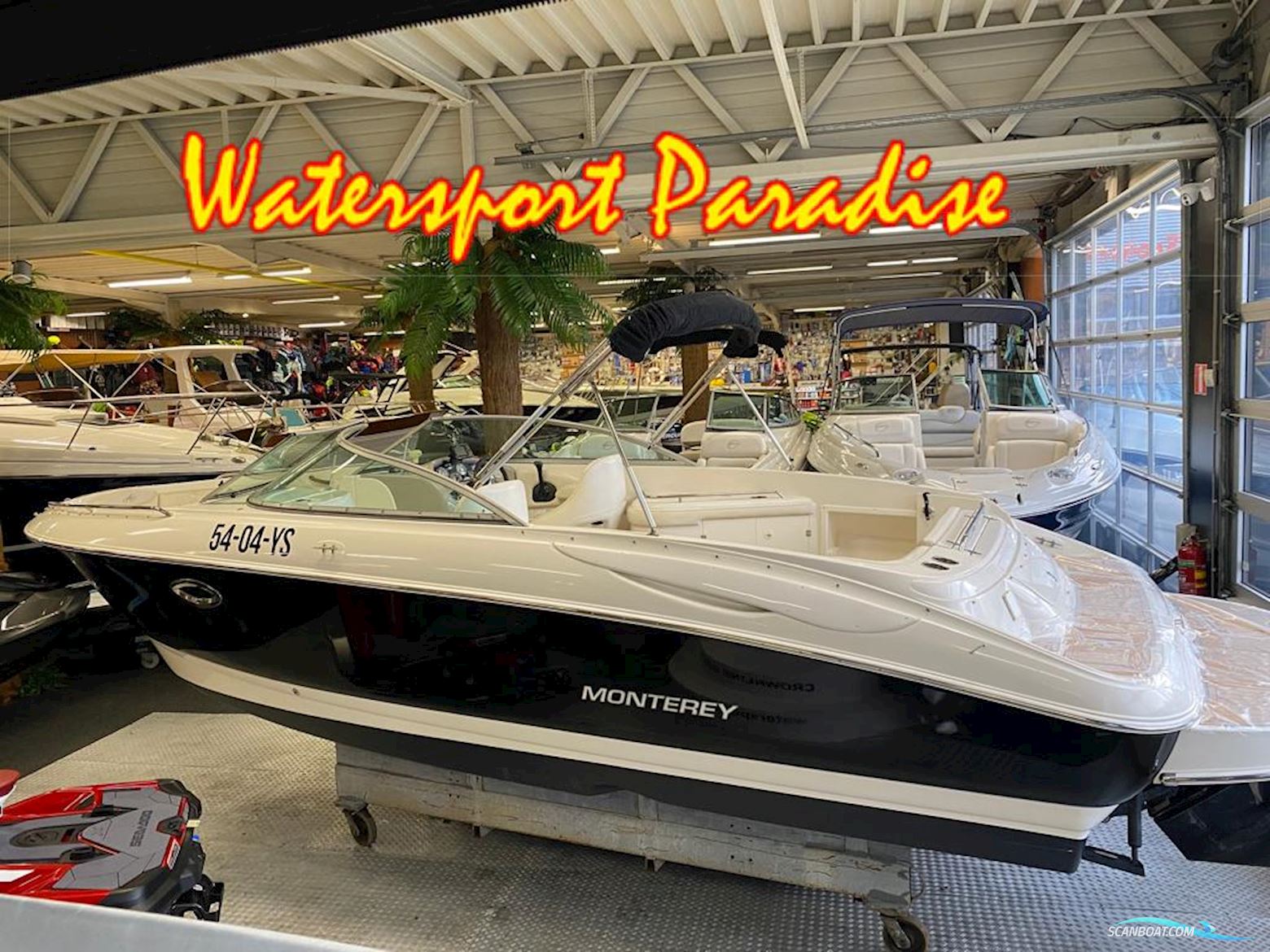 Monterey 248 LS Montura