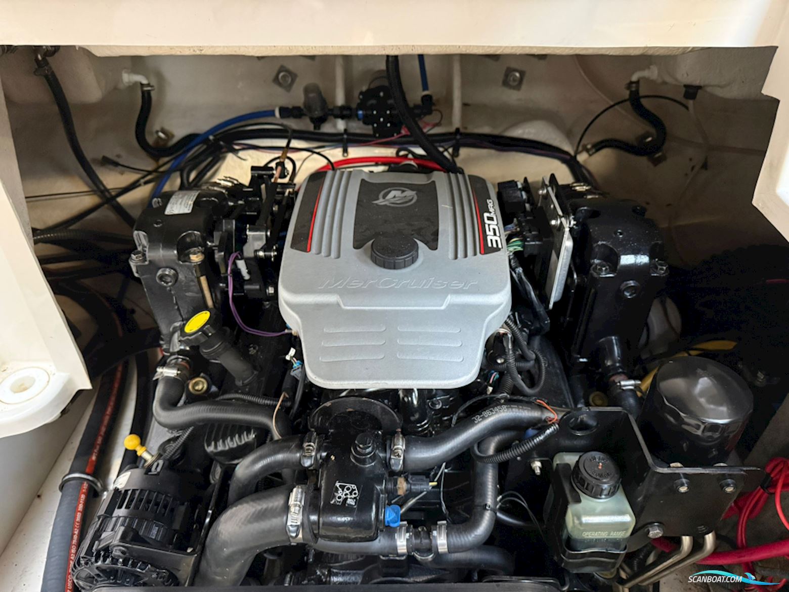 Monterey 248 LS Montura