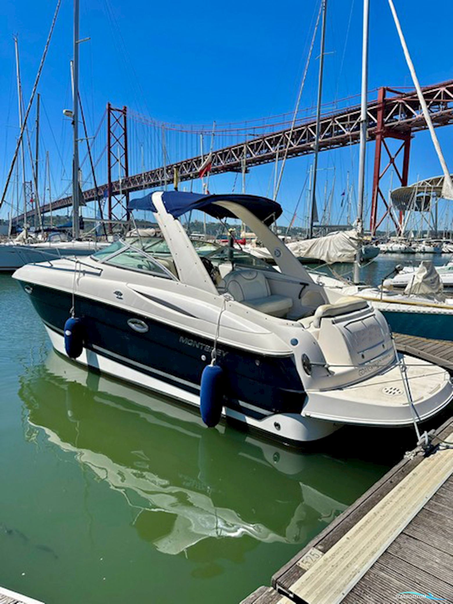 Monterey 265