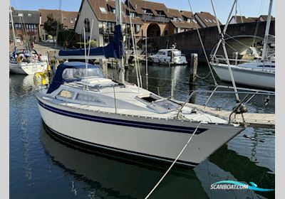 Moody 27 Motorboot 1982, mit Beta motor, England