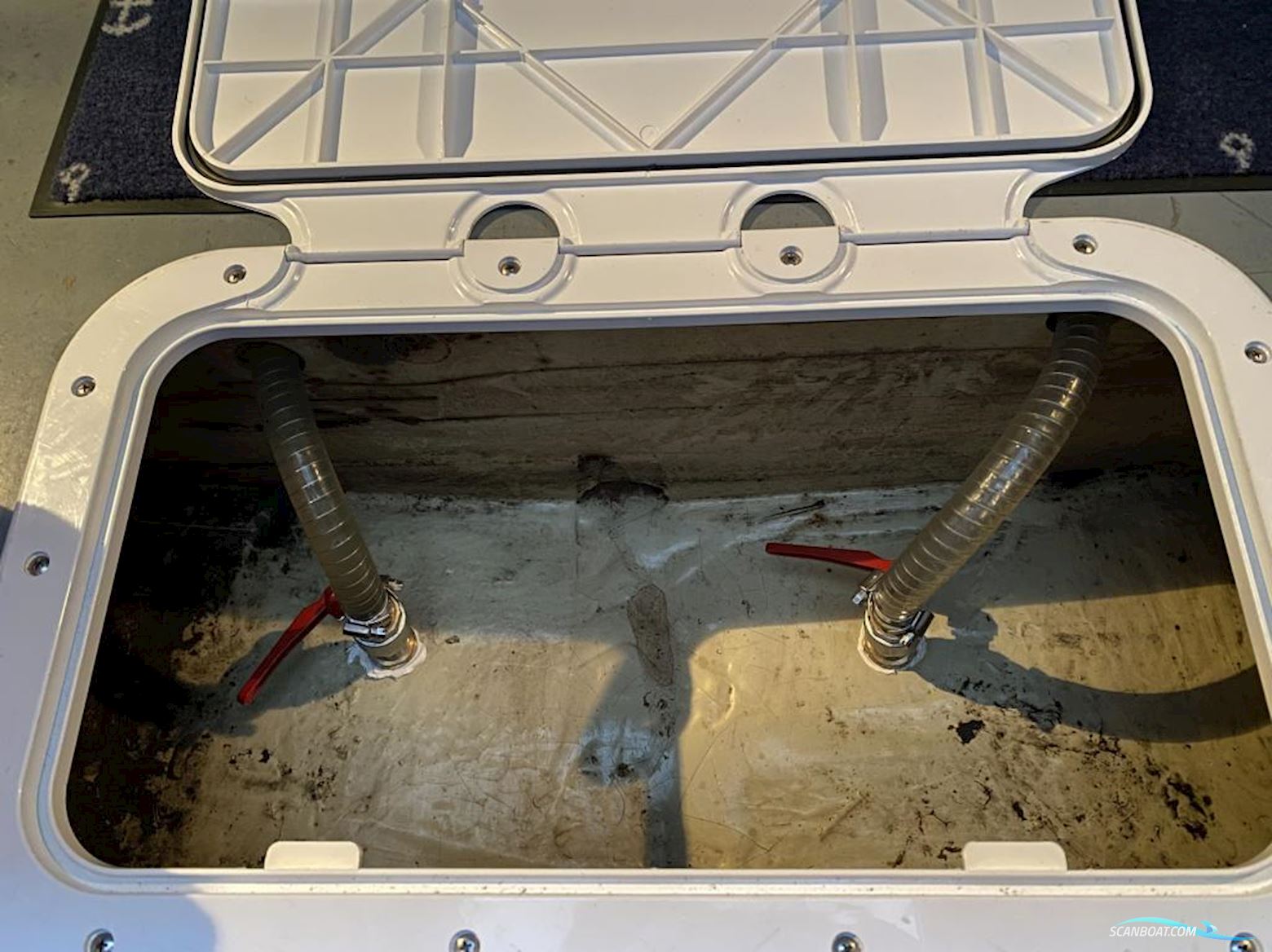 Neptunus 138 Sedan Fly