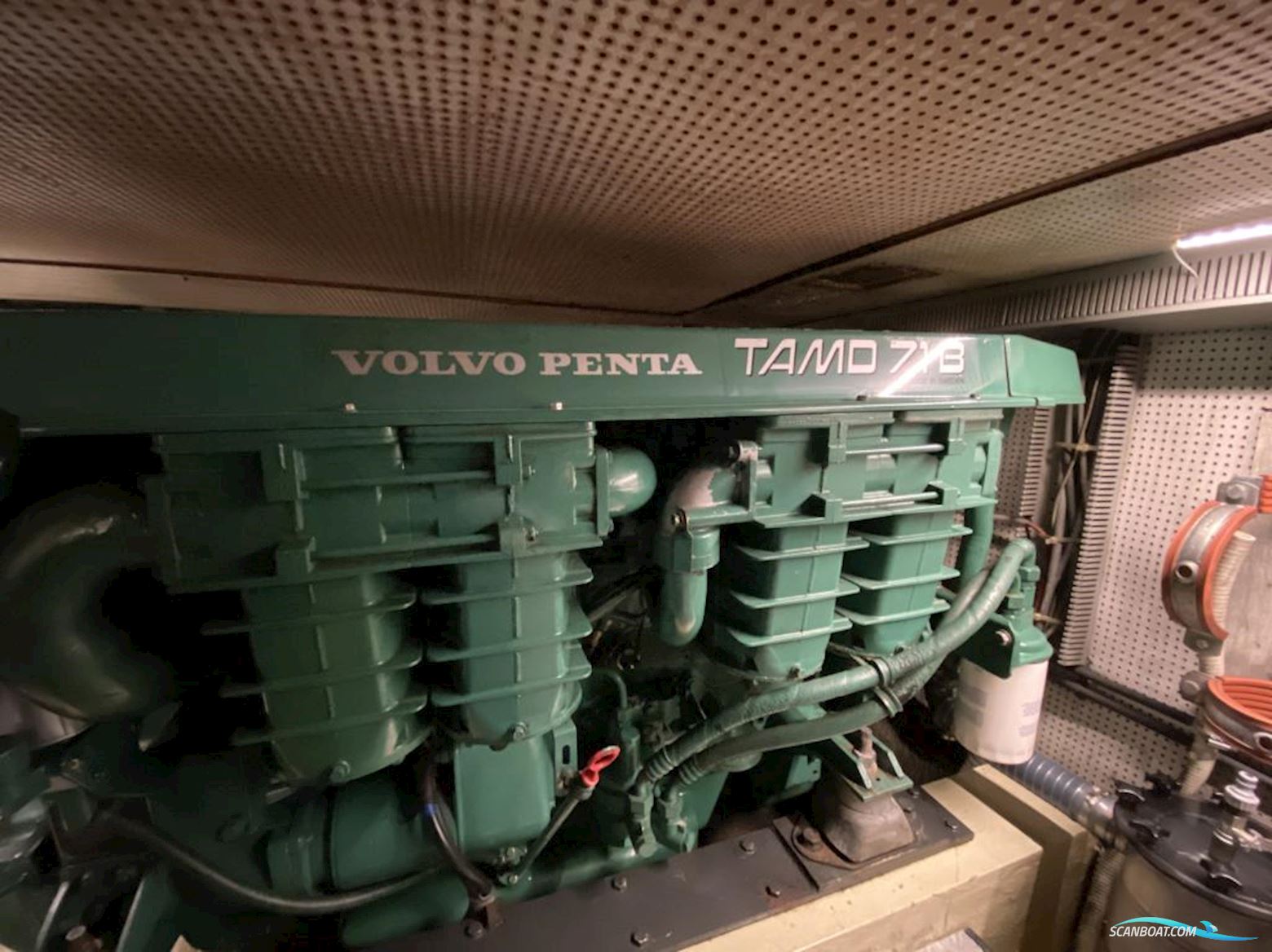 Neptunus 138 Sedan Fly