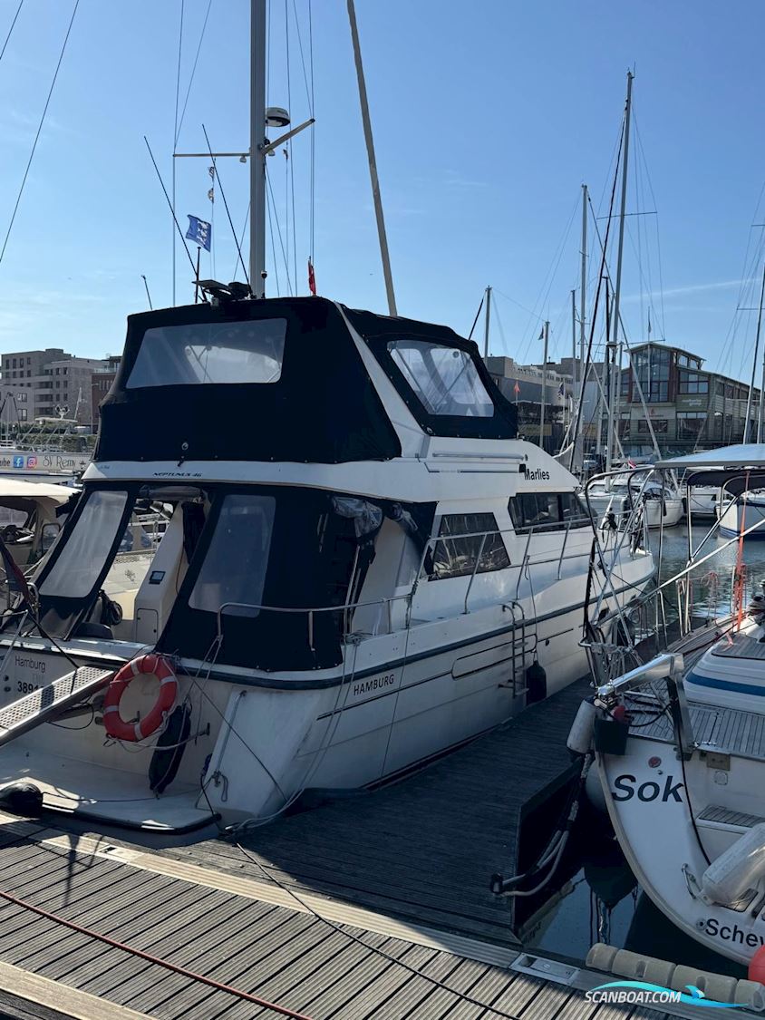 Neptunus 138 Sedan Fly