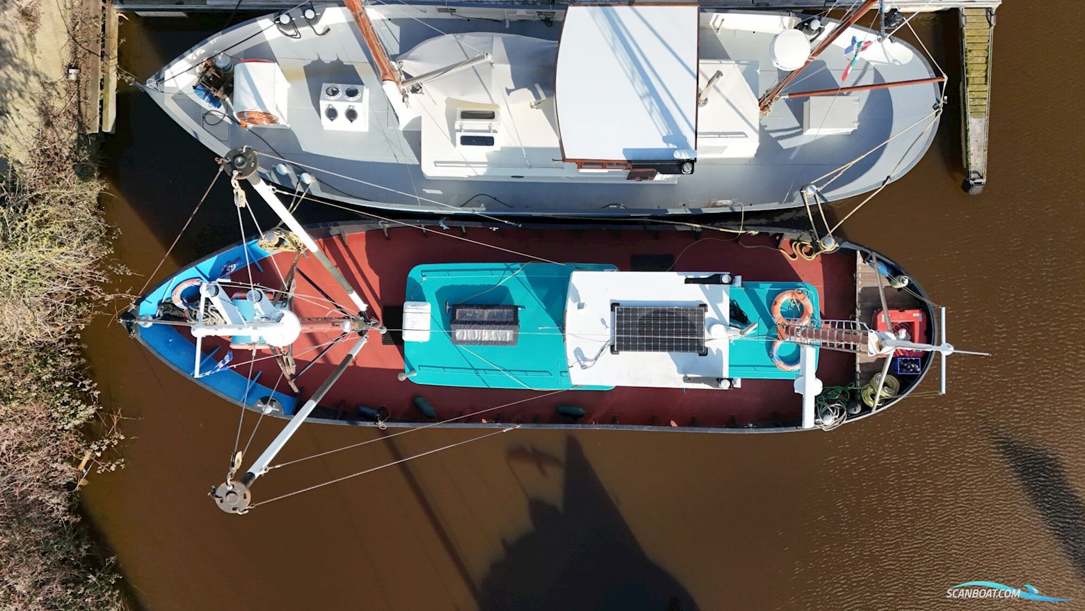 Noordzeekotter ‘WR 134’