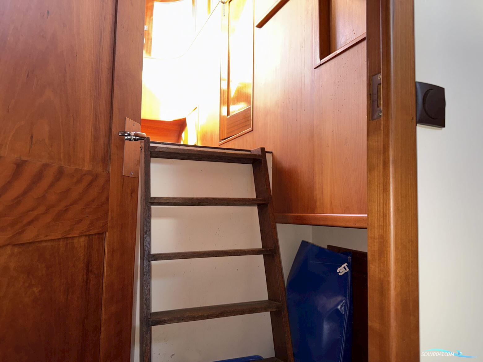 Noordzeekotter ‘WR 134’