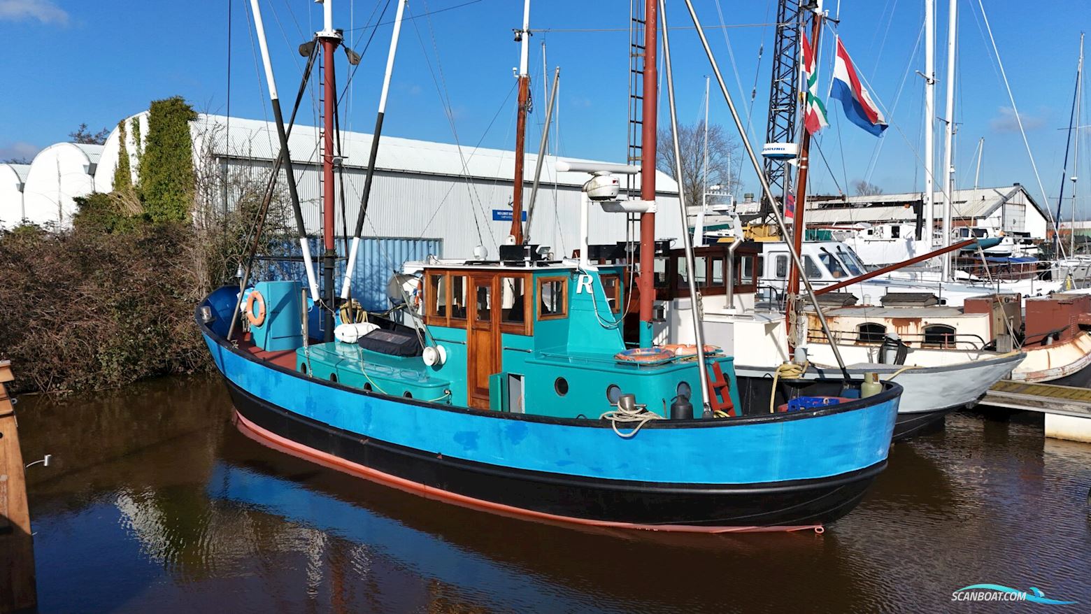 Noordzeekotter ‘WR 134’