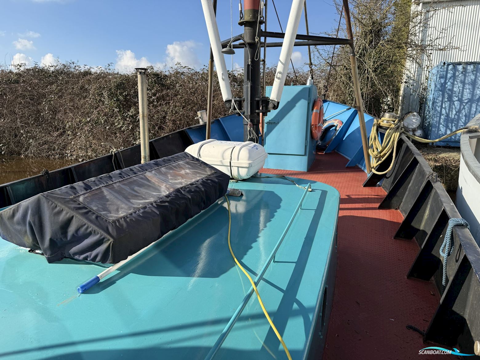 Noordzeekotter  ‘WR 134’