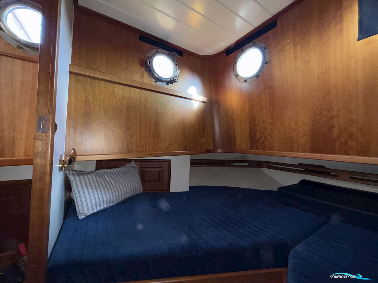 Noordzeekotter  ‘WR 134’