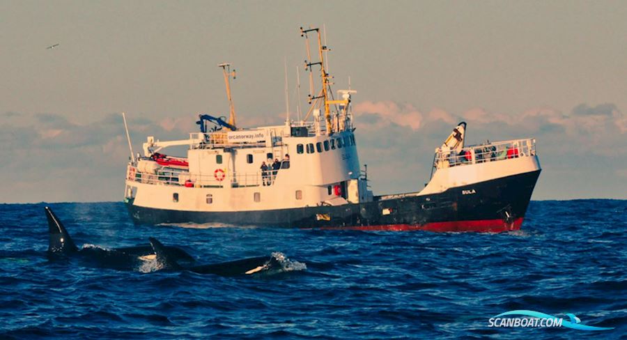 North Sea Trawler Motorboot 1967, mit Callesen motor, Norwegen