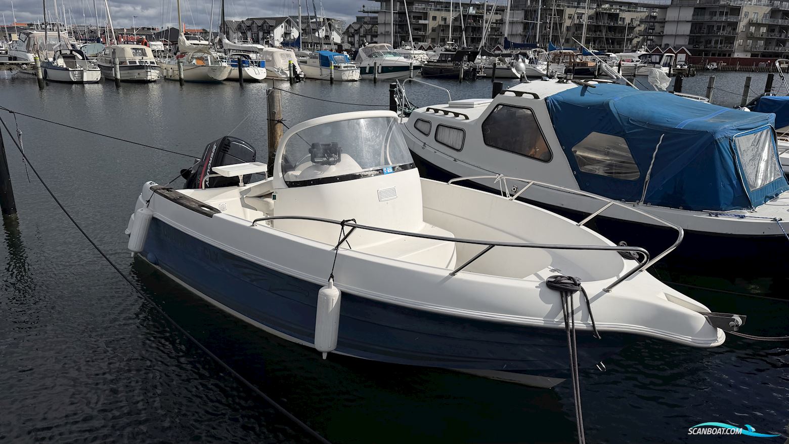 Ørnvik 550 CLX