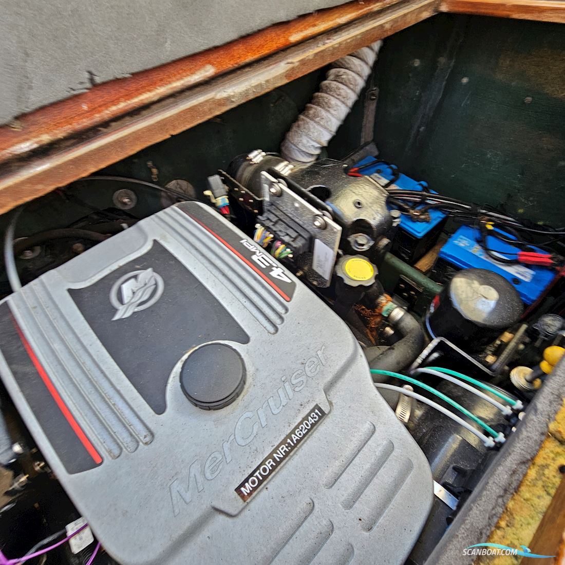 Påske pris kun 56.500 Coronet De Luxe 24 Cabin 