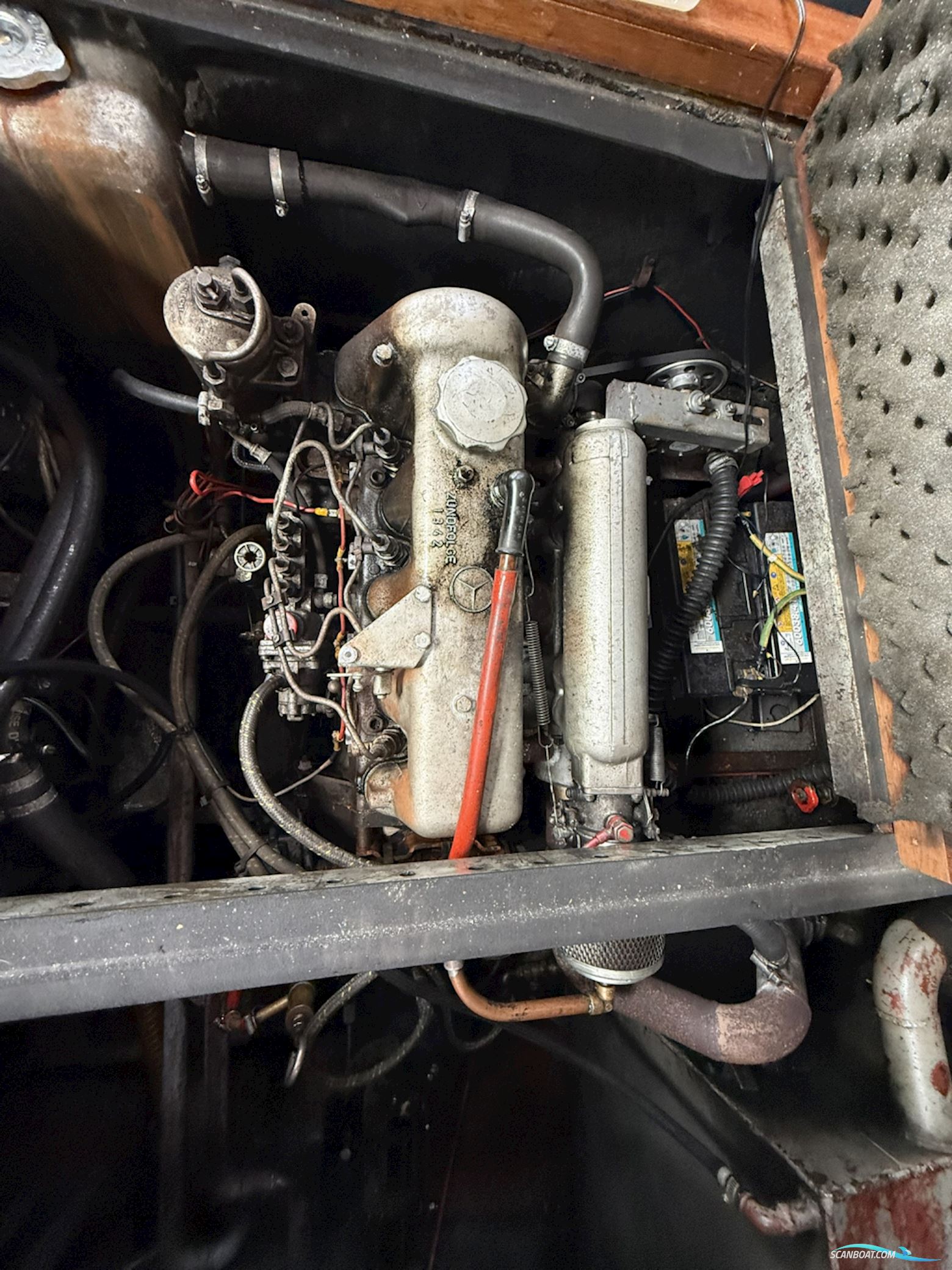 Palma 1100