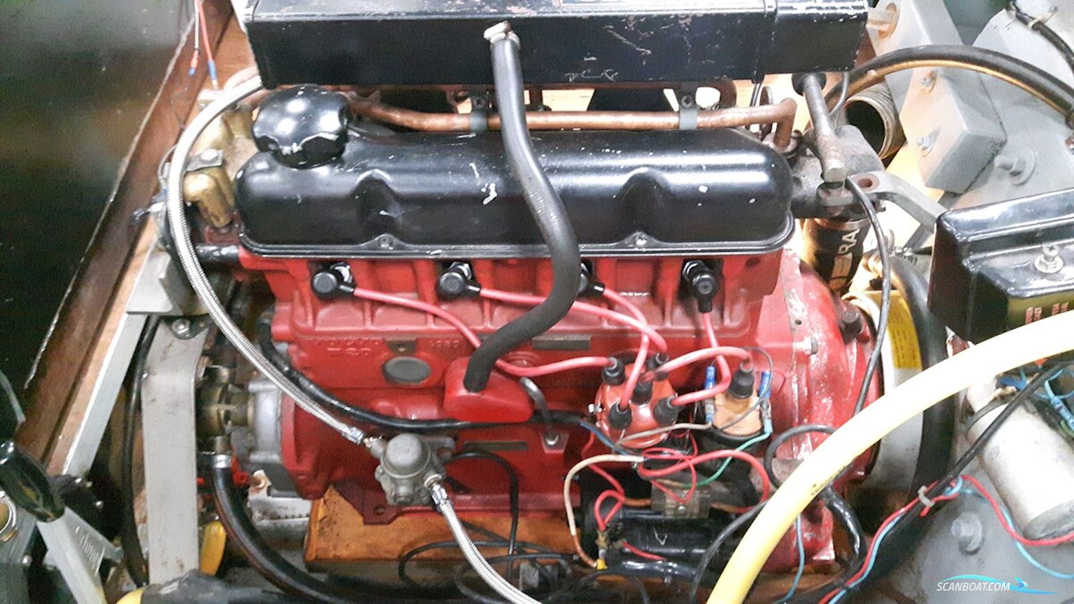 Pedrazzini Cavallino 570