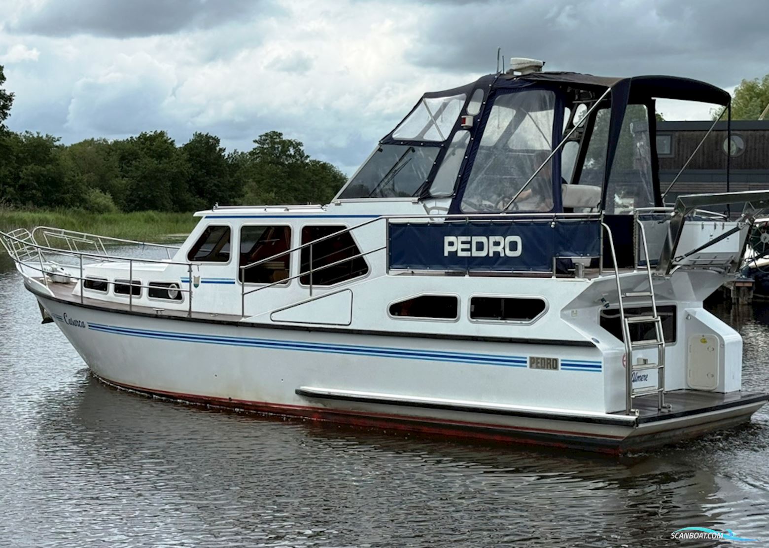 Pedro 37