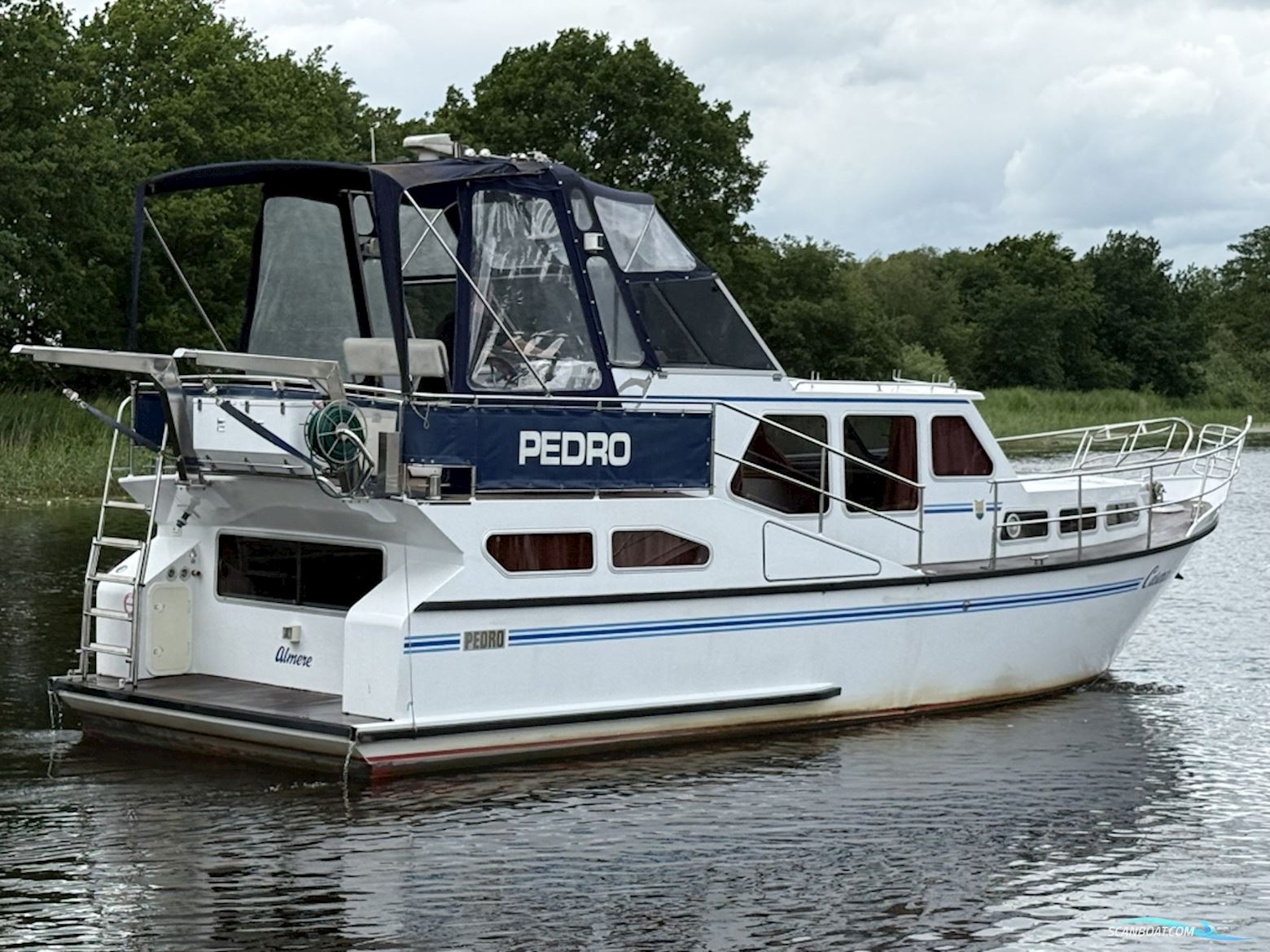 Pedro 37