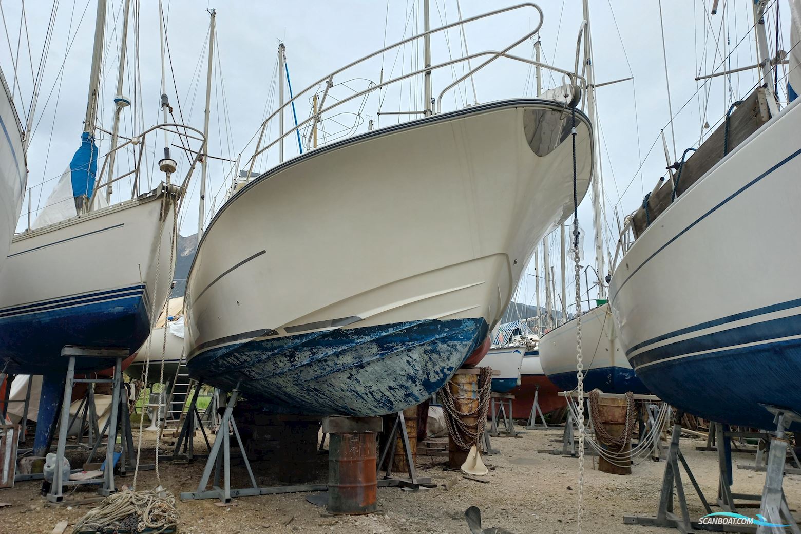 PRINCESS 385