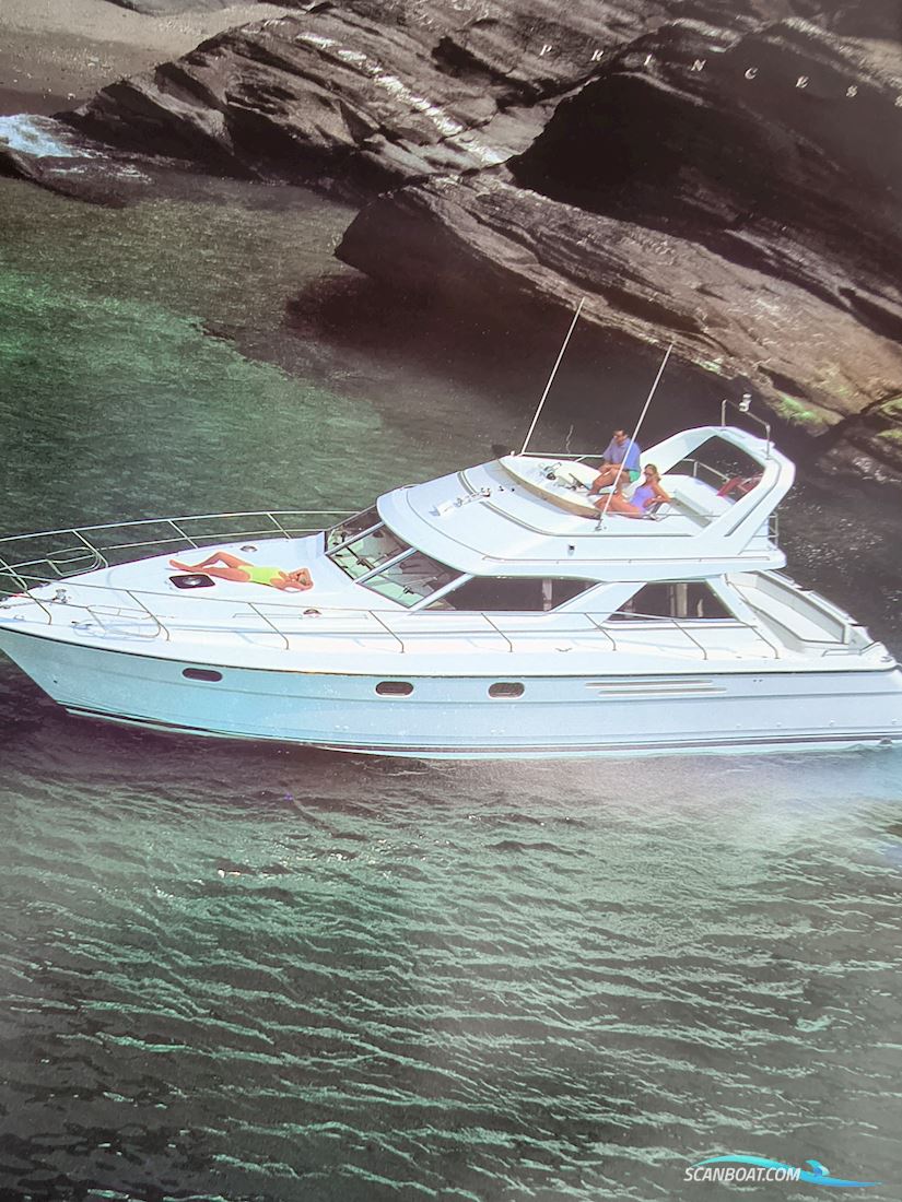 Princess 410