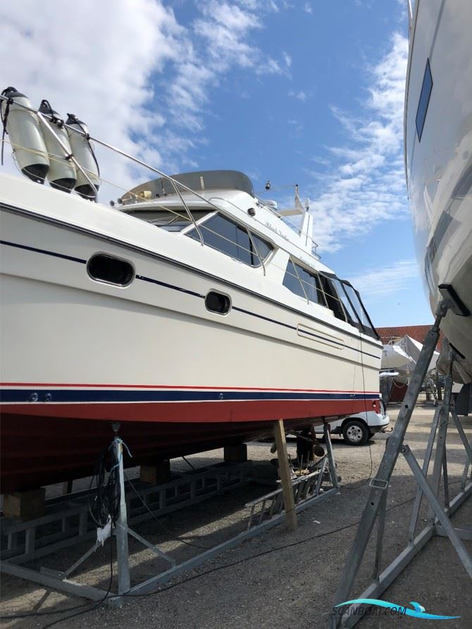 Princess 415