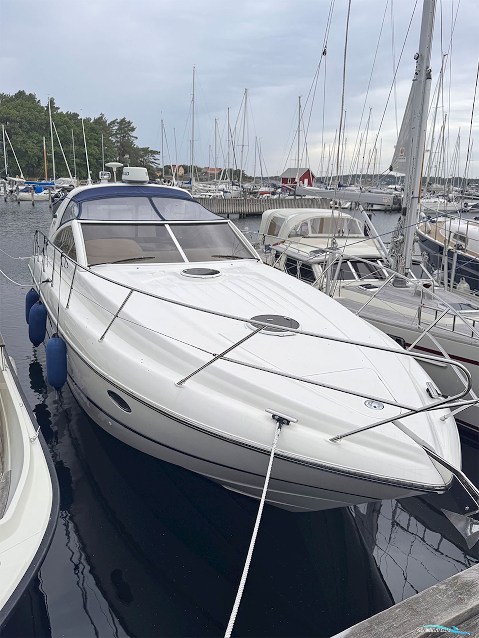 PRINCESS V40