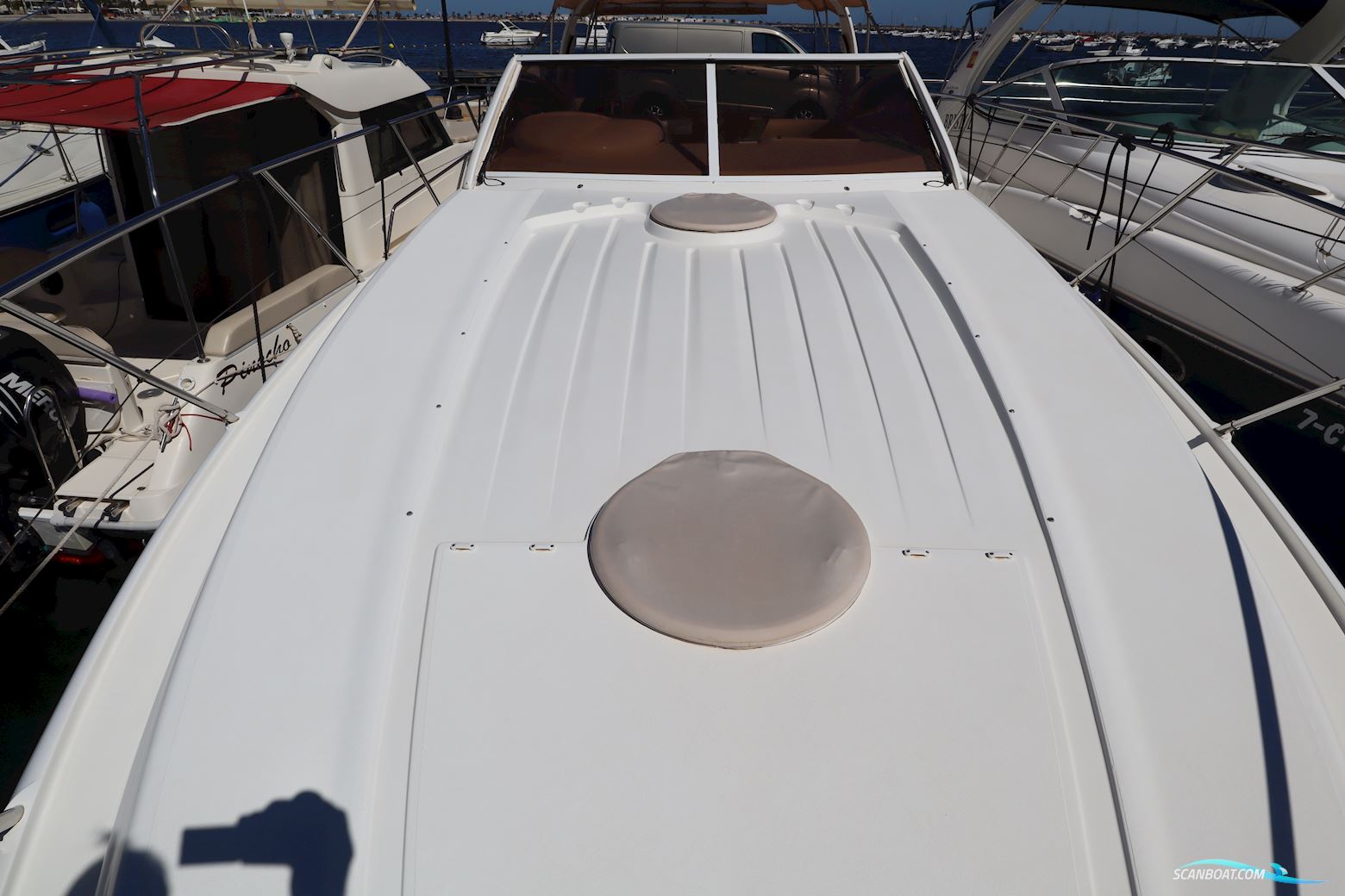 PRINCESS V42